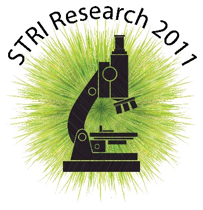 STRI Research logo