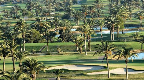 la-mangapalm-tree-golf-coursemod