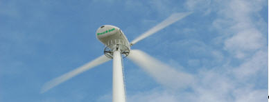 Rainbird wind turbine