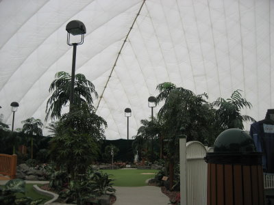 Golf Interior (2)