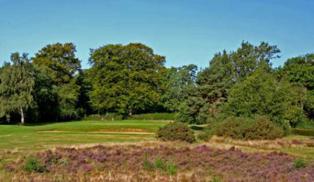 Burhill GC Old Course