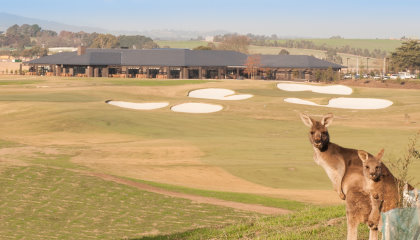 Yarra Valley Eastern Golf Club1