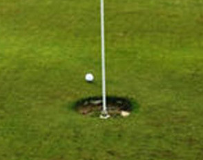 Norwood Park Golf Centre large size cup
