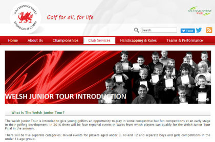 WGU website junior section