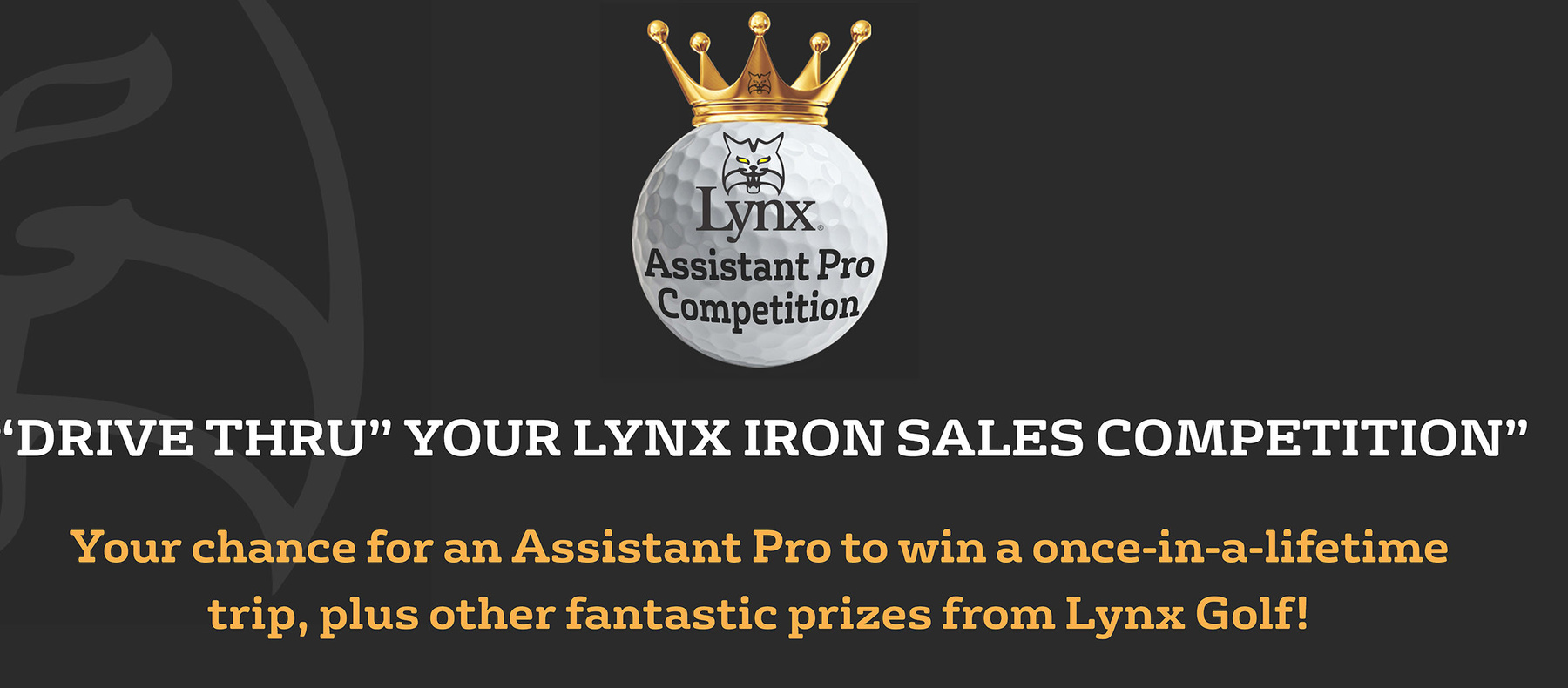 Lynx Assitant Pro Comp Presenter