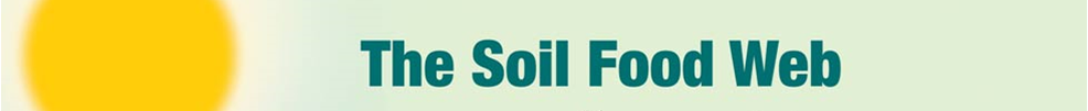 soil-food-web_orig