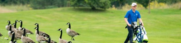 England Golf Drives New Sustainability