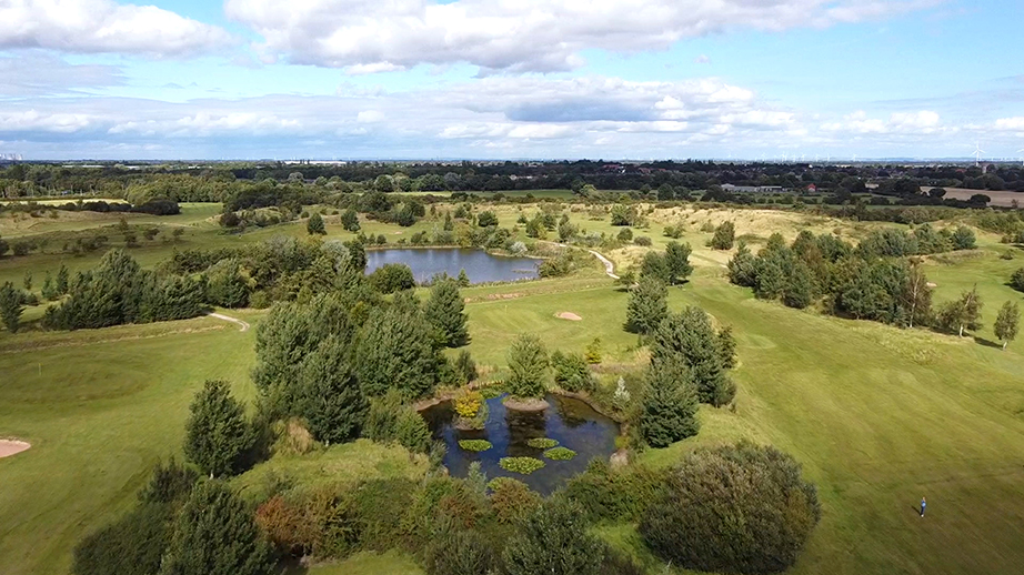 Kingswood Aerial