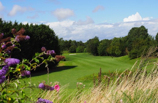 Tees, trees and happy bees…Can Courses help to protect the environment?