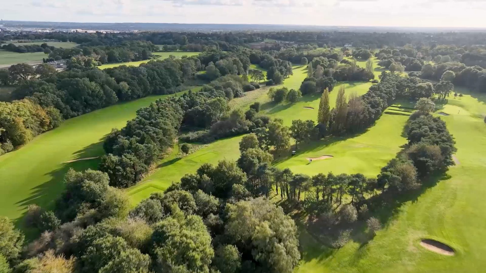 Burnham Beeches 1