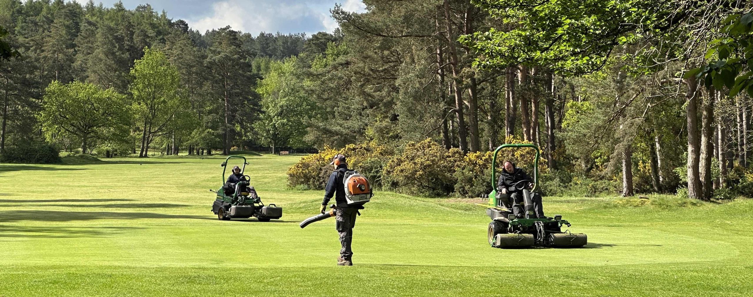 Image by David Ball, Thetford Golf Club 2