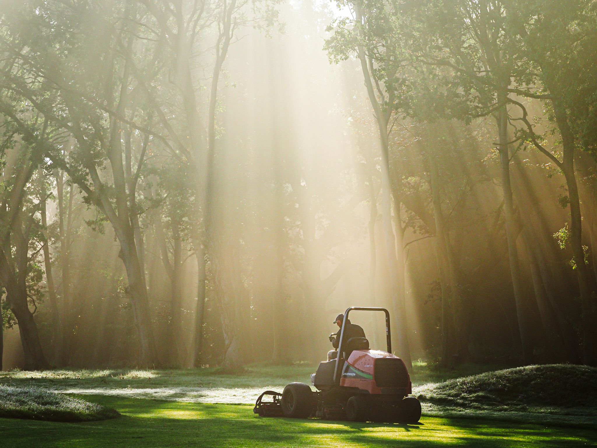 This image by Joe Simpson of Ipswich GC was selected as the Overall winner